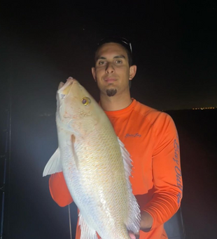 Mangrove Snapper Fishing In North Miami 